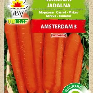 Marchew Amsterdam 3 na taśmie 6m - TORAF