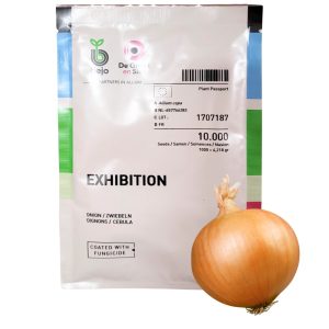 Cebula Exhibition nasiona 10000 szt. - BEJO