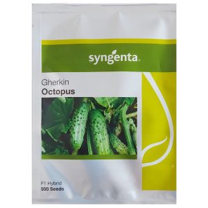 Ogórek Octopus F1 nasiona 500 szt. - Syngenta