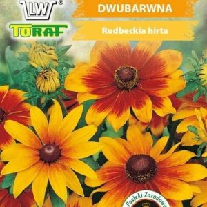 Rudbekia dwubarwna 1g - TORAF