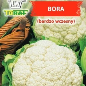 Kalafior Bora 1g - TORAF