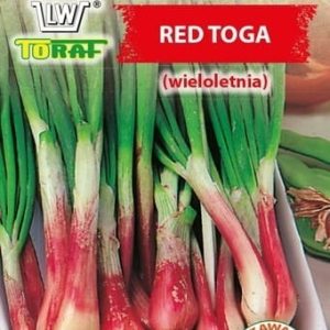 Cebula Siedmiolatka Red Toga 1g - TORAF