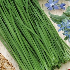 Szczypiorek Bohemia 2g - WegAna