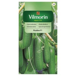 Ogórek szklarniowy Picolino F1 10 nasion - VILMORIN