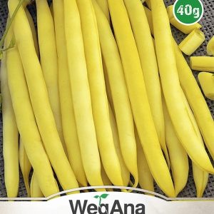 Fasola Zwykła Karłowa Korona 40g - WegAna