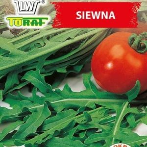 Rukola Siewna nasiona 1g - TORAF
