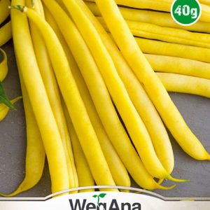 Fasola zwykła karłowa Uniwersa 40g - WegAna
