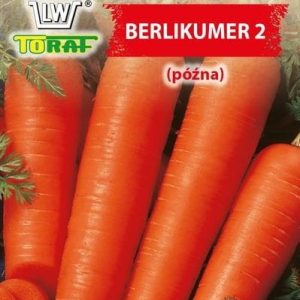 Marchew BERLIKUMER nasiona 5g - TORAF