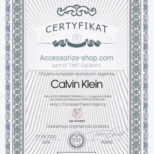 Zegarek CALVIN KLEIN K5V231Q4. Kwarcowy, Kolor szary. Kobieta.