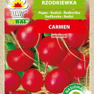 Rzodkiewka Carmen nasiona na taśmie 6m - TORAF