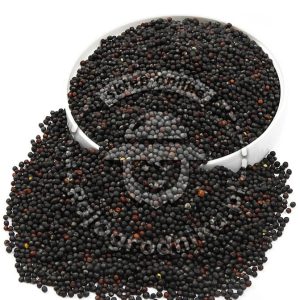 Brokuł Calabrese nasiona na kiełki Ekologiczne 100g