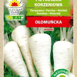 Pietruszka Ołomuńcka nasiona na taśmie 6m - TORAF