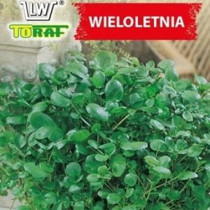 Rukiew wodna nasiona 0,2g - TORAF