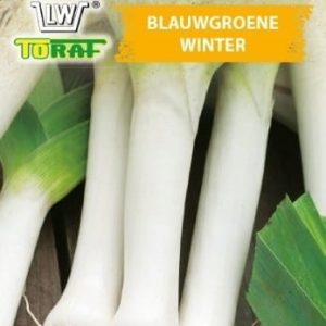 Por Blauwgroene Winter późny dobrze zimuje 1g - TORAF