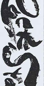 Kamień Shapton ROCK STAR [60217] do ostrzenia o gradacji 8000