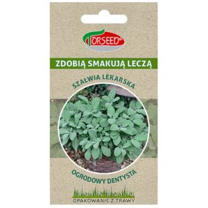 Szałwia lekarska nasiona 1g Graspapier - TORSEED