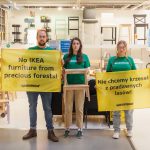 Aktywiści i aktywistki Greenpeace rozwiesili nad wejściem do sklepu IKEA w podwarszawskich Jankach olbrzymi transparent z hasłem „Nie chcemy mebli z takich drzew”