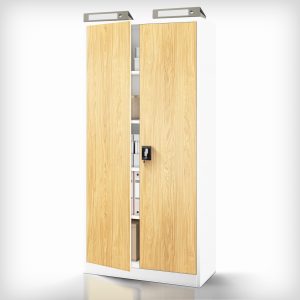 Szafa na dokumenty biała/złoty dąb: Eco Design JAN H