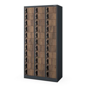Skrytkowa szafa depozytowa OLIVER, 900 x 1850 x 450 mm, Eco Design: antracytowa/orzech