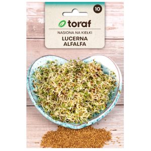 Nasiona na kiełki i kiełkownice