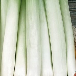 Kuchnia Porclana kuchenna